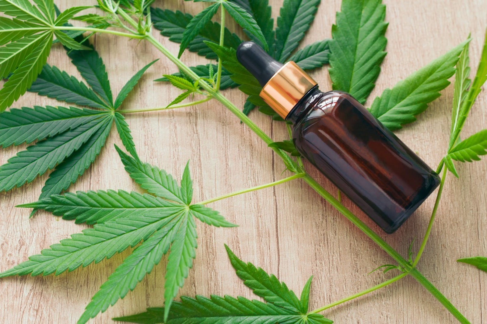 What Are Cannabis Tinctures? Benefits, Uses & Best Times to Take Them
