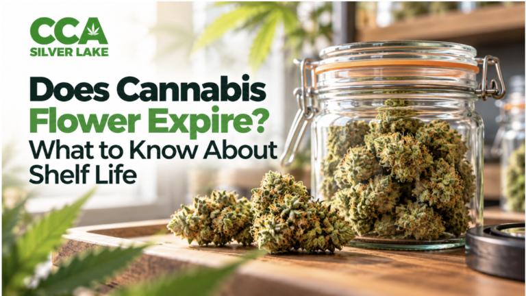 Does Cannabis Flower Expire? What to Know About Shelf Life